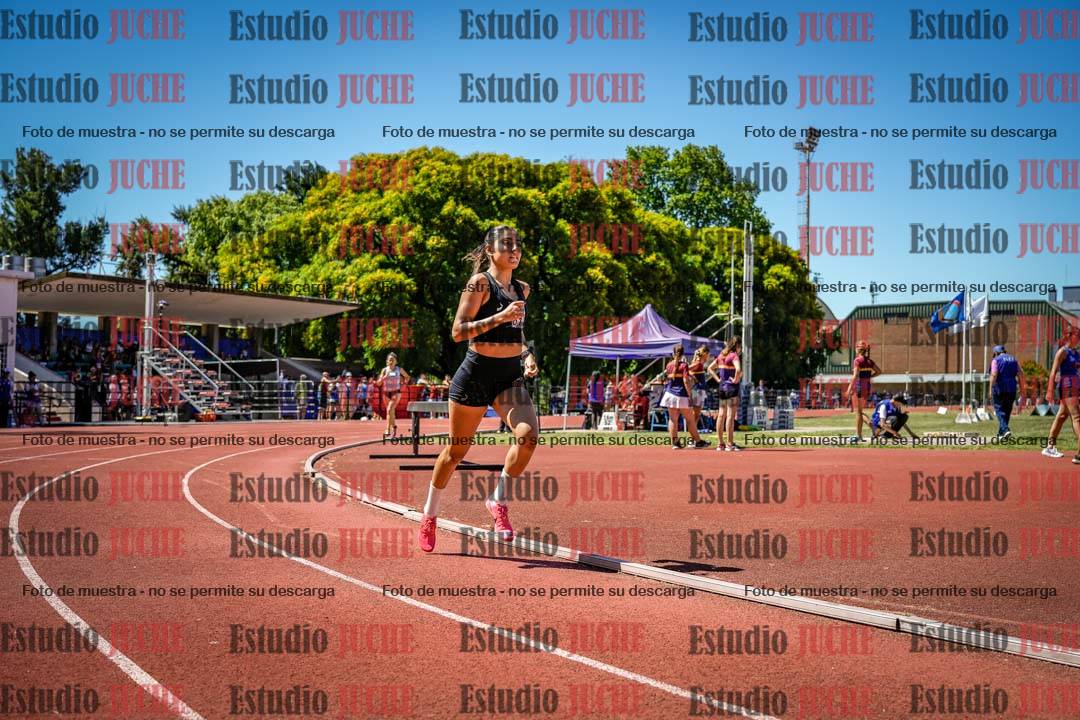 Fotos de los 800 m llanos de mujeres