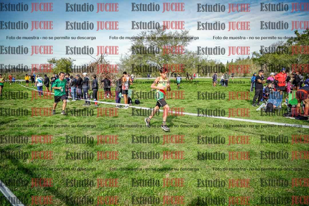 Fotos en el circuito