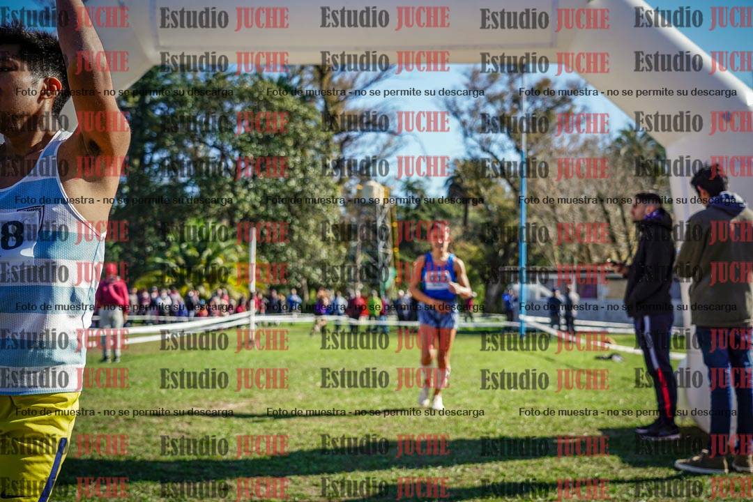 Fotos de la llegada del cross de 6000 m