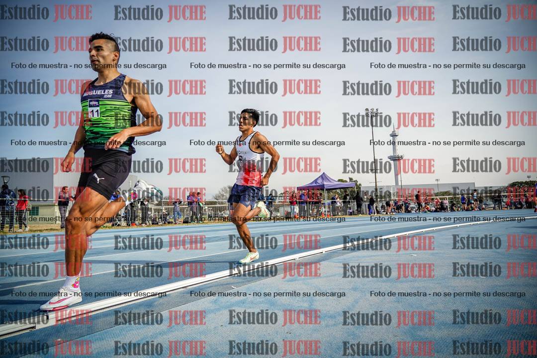 Fotos de los 800 m llanos de varones