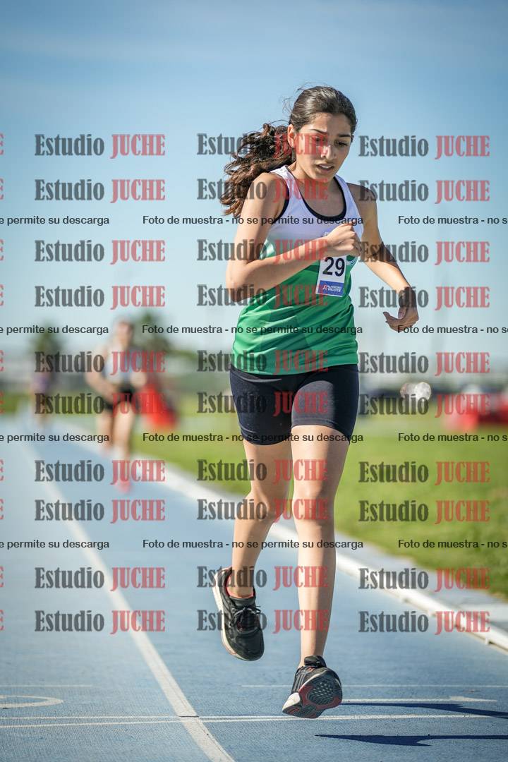 Fotos de los 1500 m llanos de mujeres