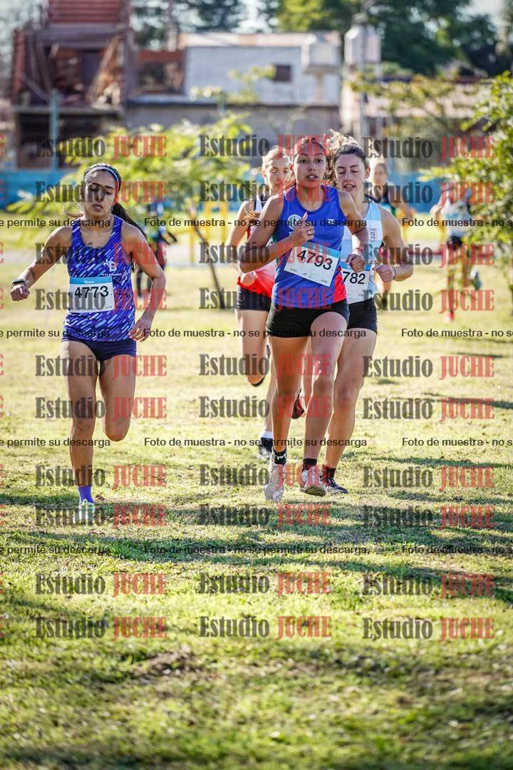 Fotos en el circuito