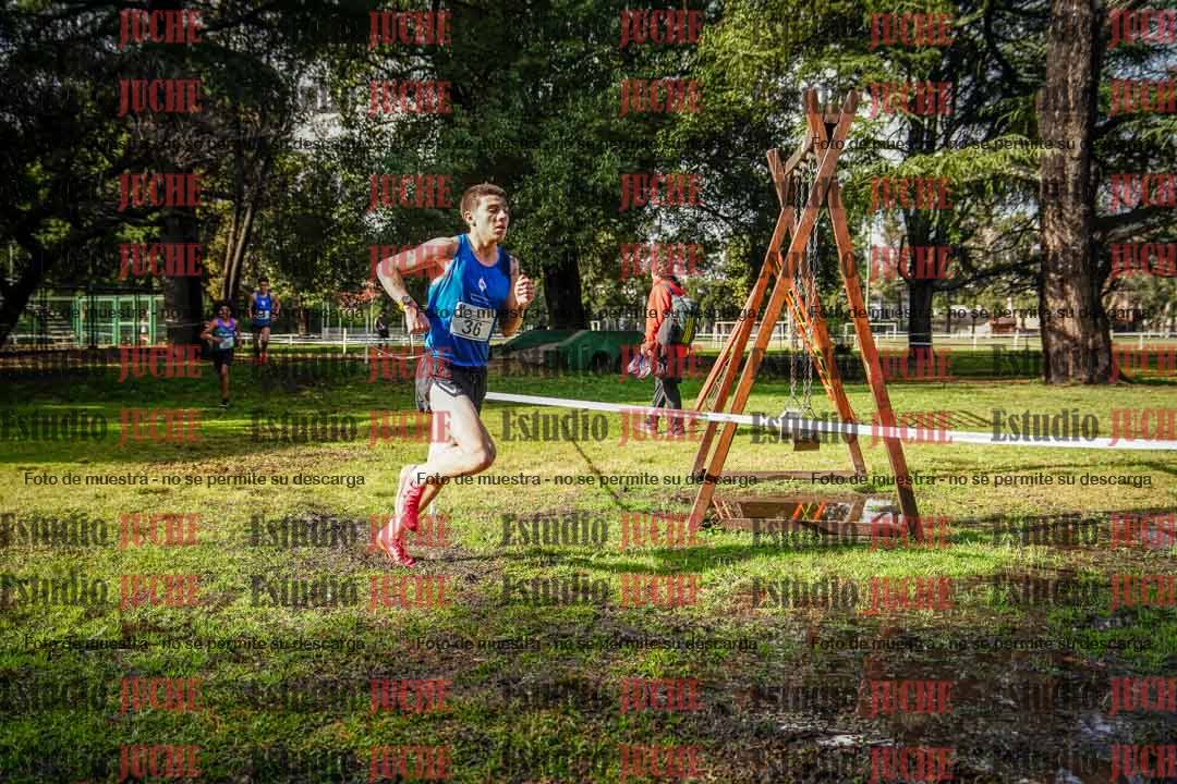 Fotos en el circuito