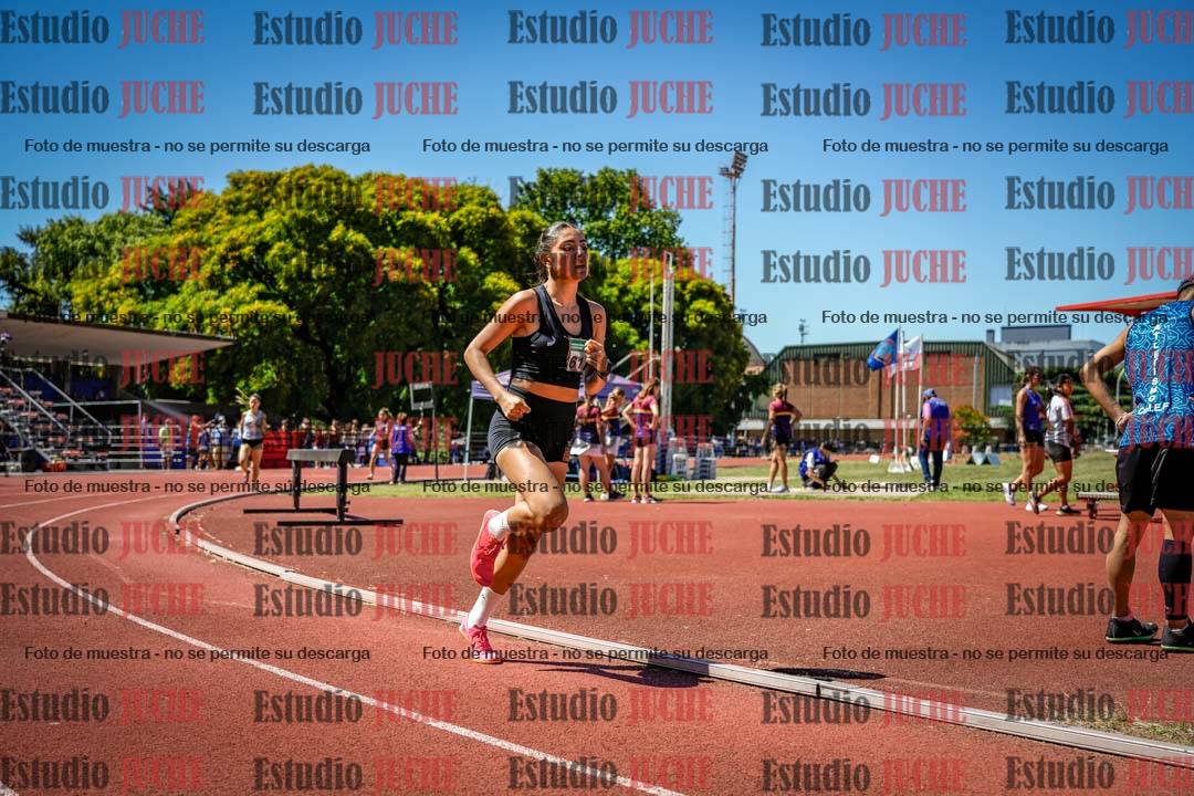 Fotos de los 800 m llanos de mujeres