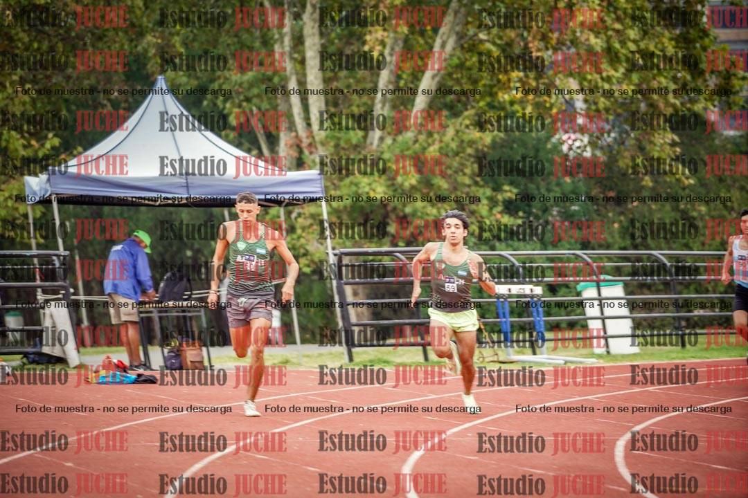 Fotos de los 800 m llanos de varones
