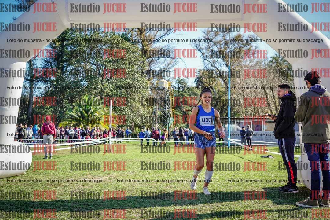 Fotos de la llegada del cross de 6000 m