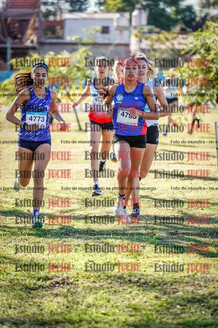 Fotos en el circuito