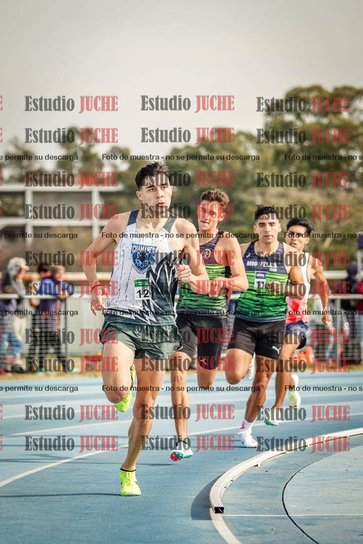 Fotos de los 800 m llanos de varones