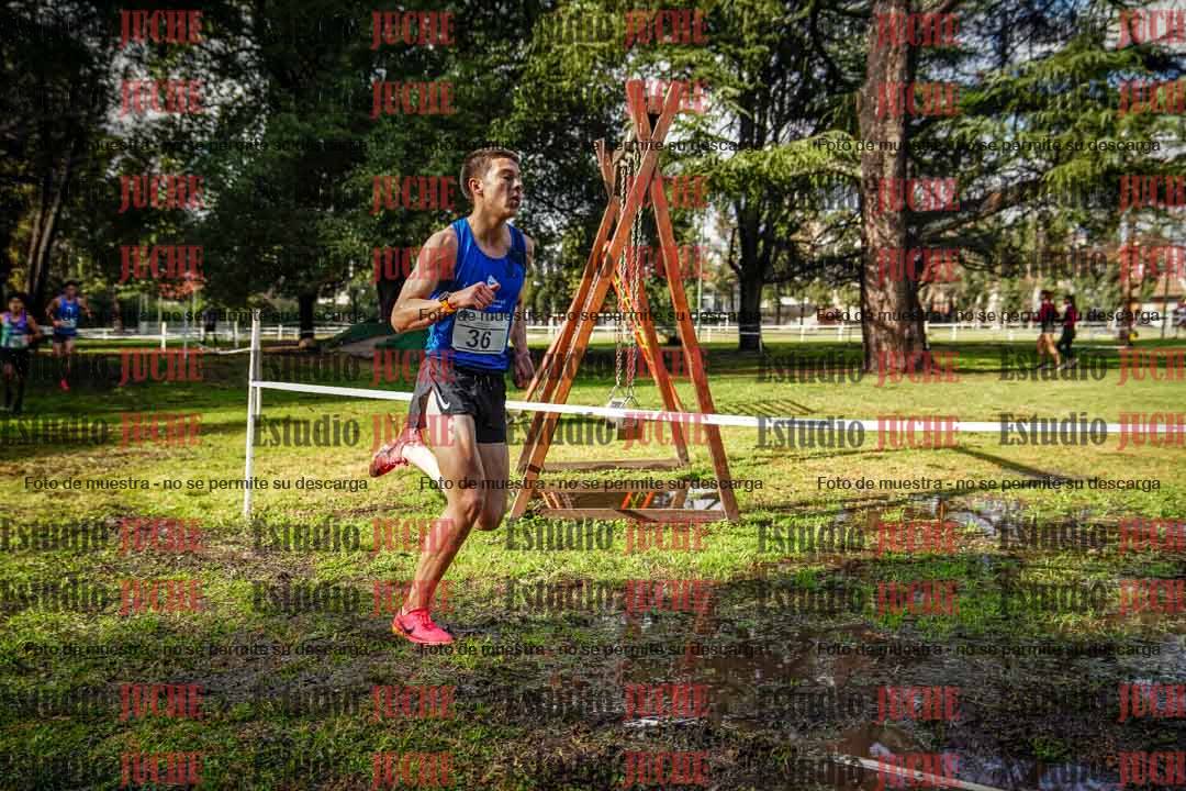 Fotos en el circuito