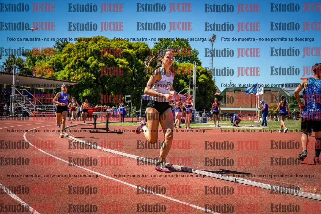 Fotos de los 800 m llanos de mujeres