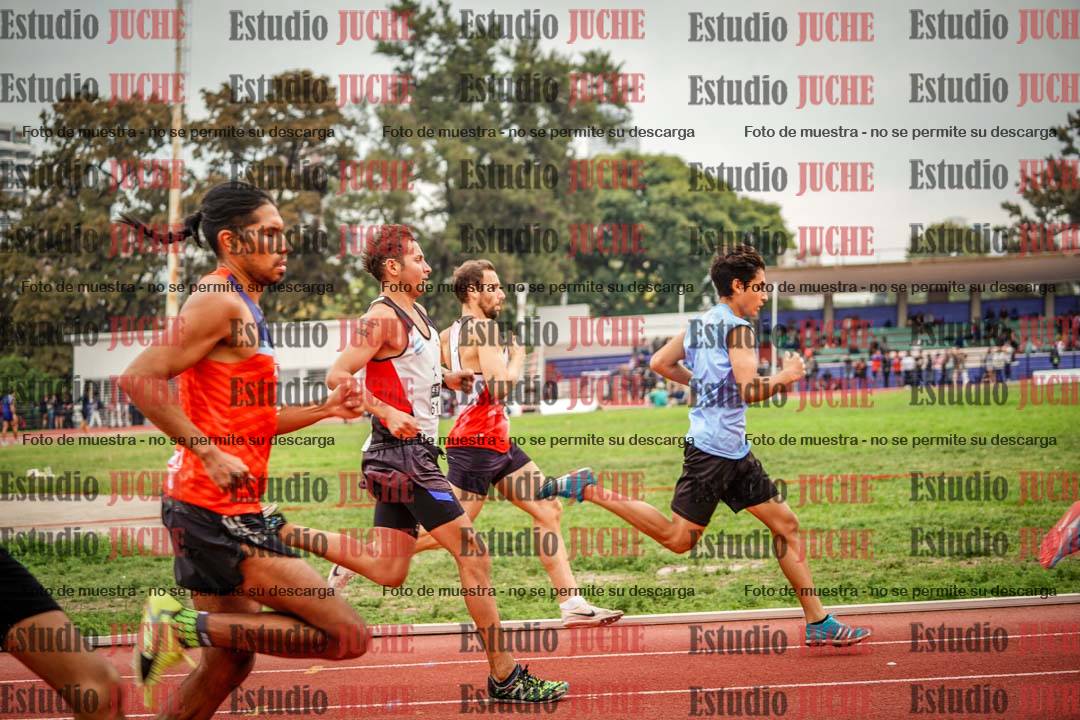 Fotos de los 800 m llanos de varones