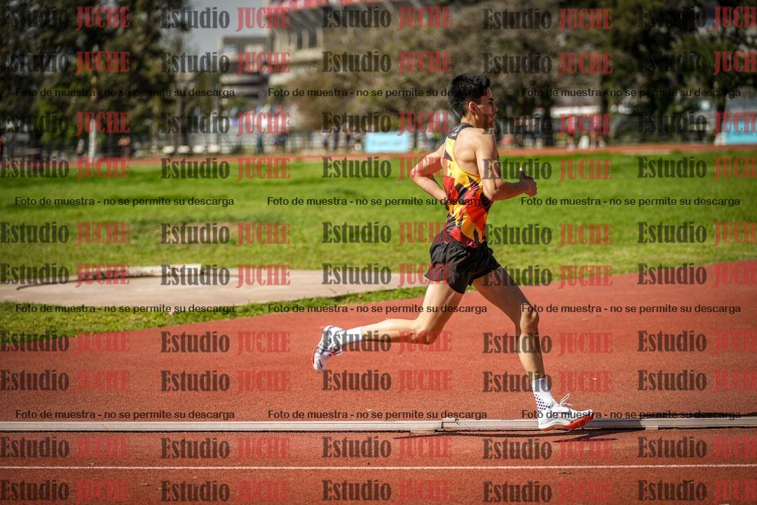 Fotos de los 1500 m llanos de varones