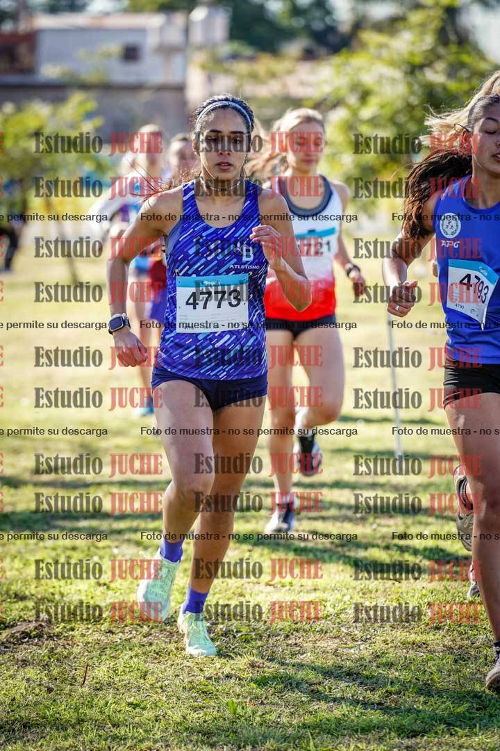Fotos en el circuito