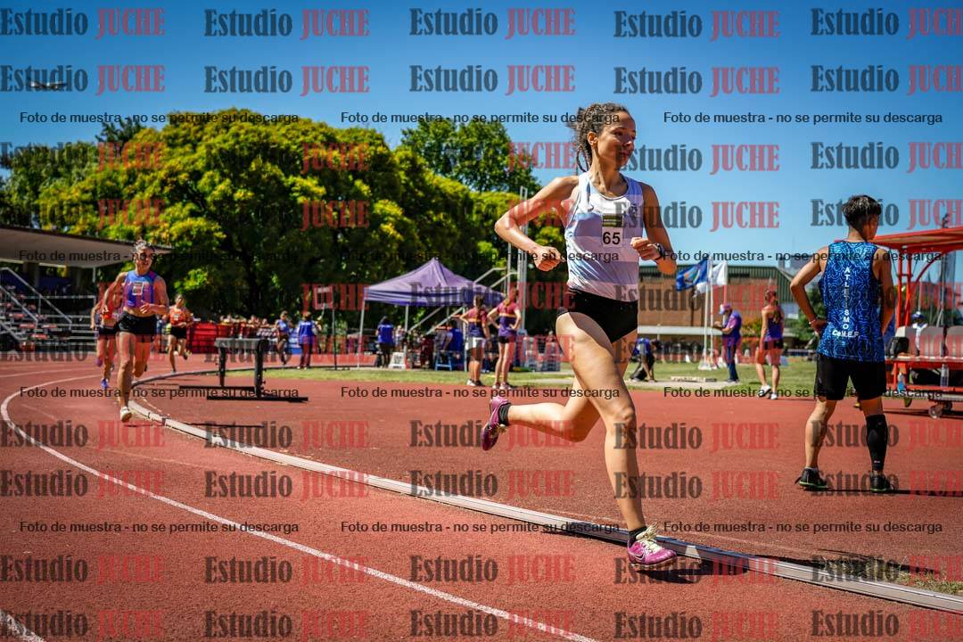 Fotos de los 800 m llanos de mujeres