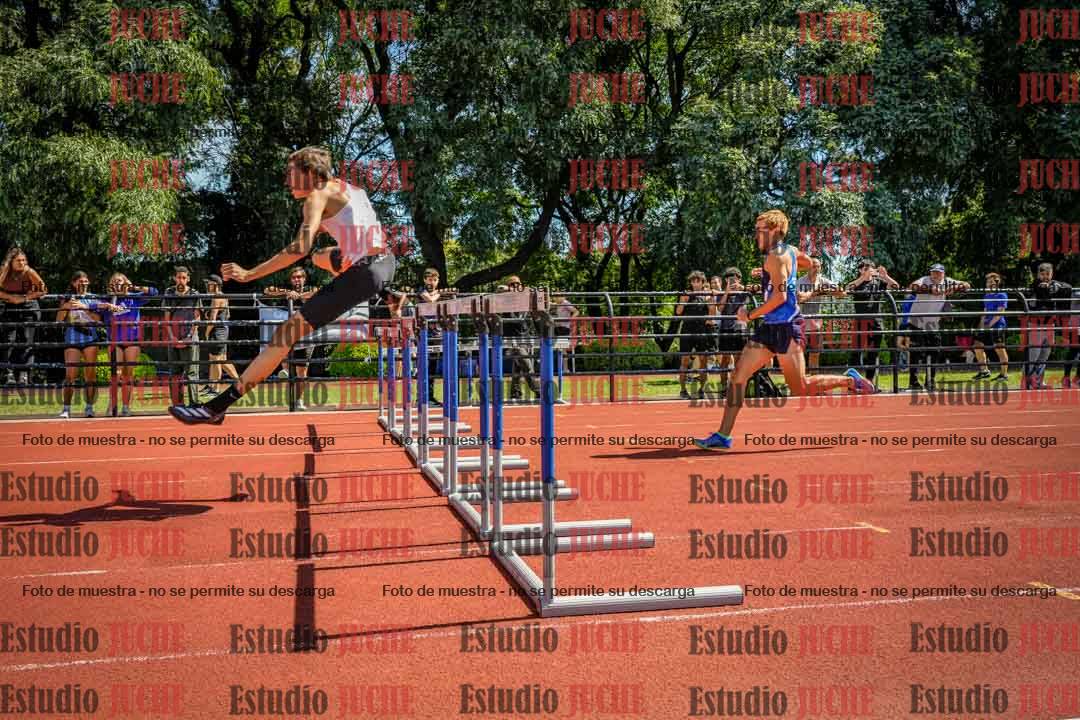 Fotos de los 110 m con vallas de varones