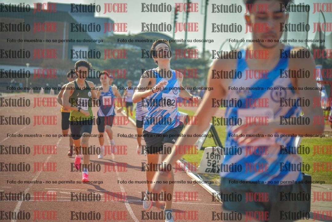 Fotos de los 800 m llanos de varones