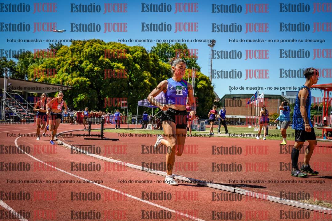 Fotos de los 800 m llanos de mujeres