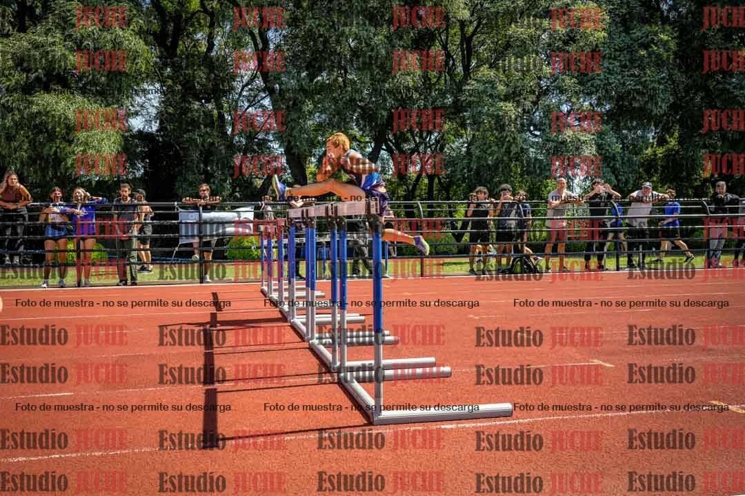 Fotos de los 110 m con vallas de varones