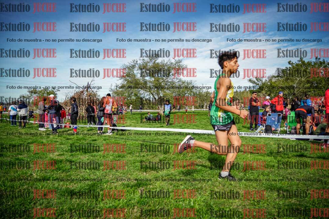 Fotos en el circuito