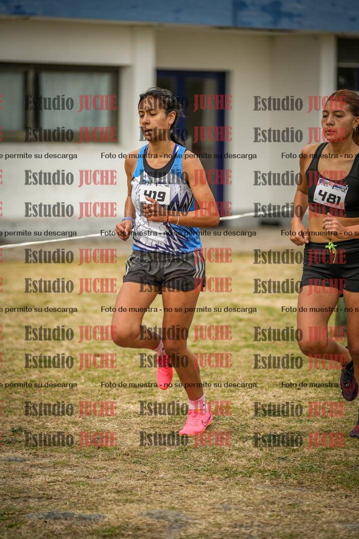 Fotos en el circuito