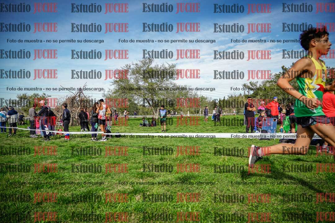 Fotos en el circuito