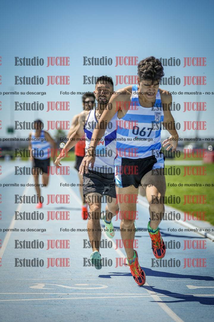 Fotos de los 800 m llanos de varones