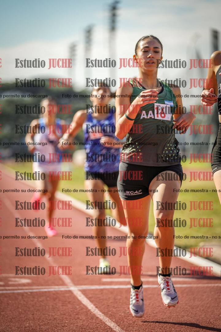 Fotos de los 800 m llanos de mujeres