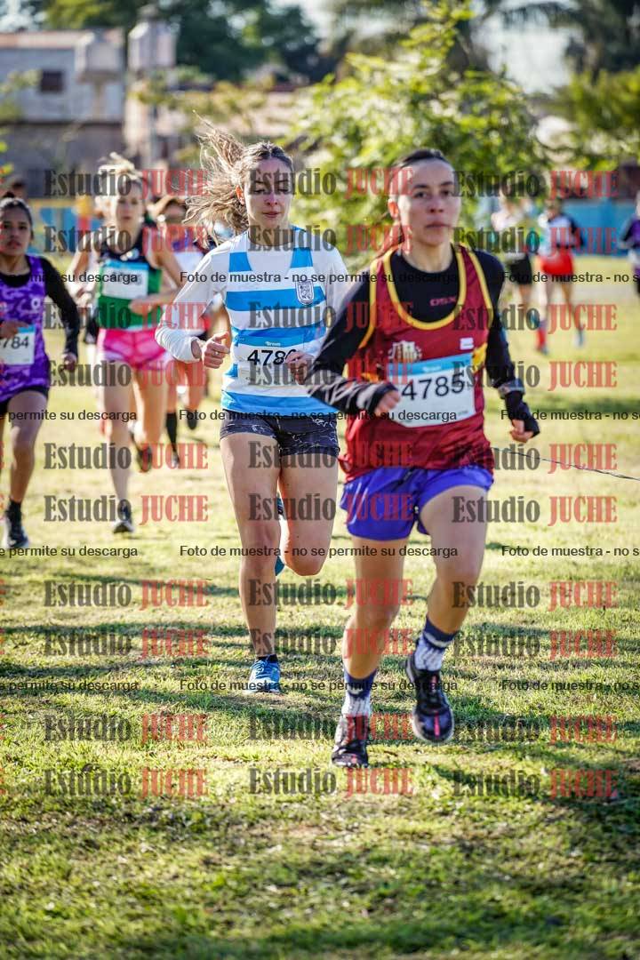 Fotos en el circuito