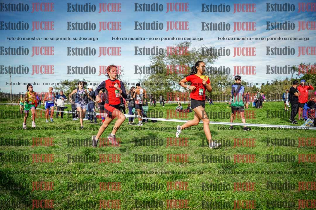 Fotos en el circuito