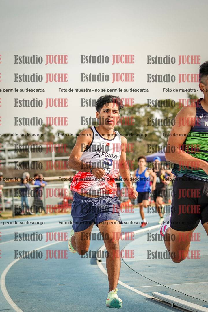 Fotos de los 800 m llanos de varones
