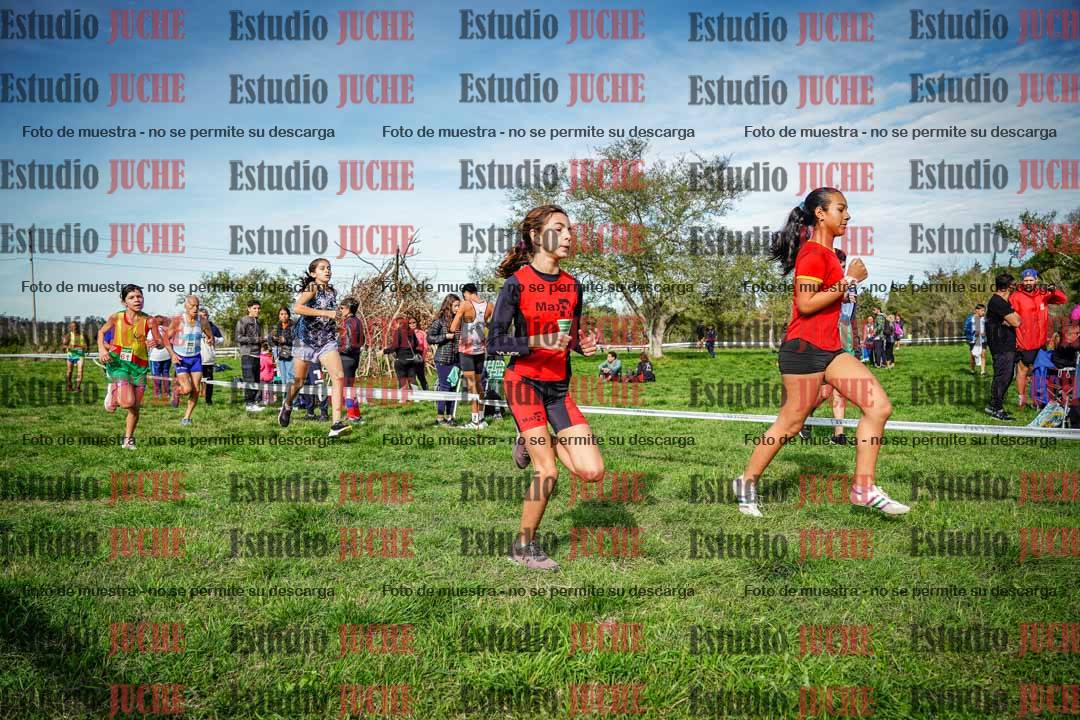 Fotos en el circuito