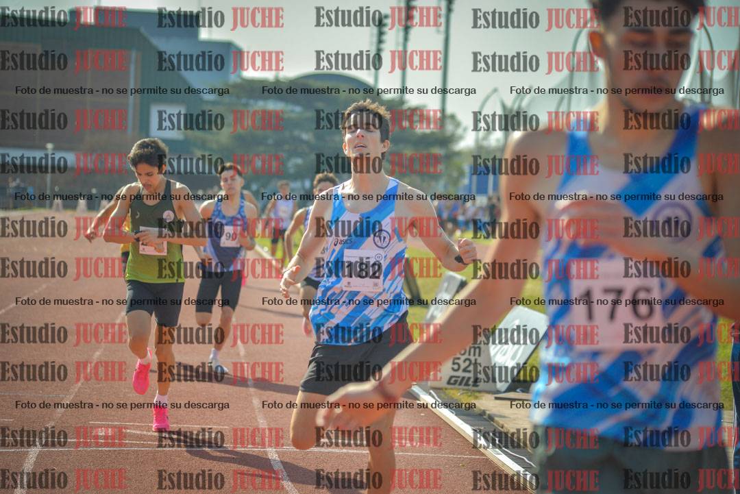 Fotos de los 800 m llanos de varones