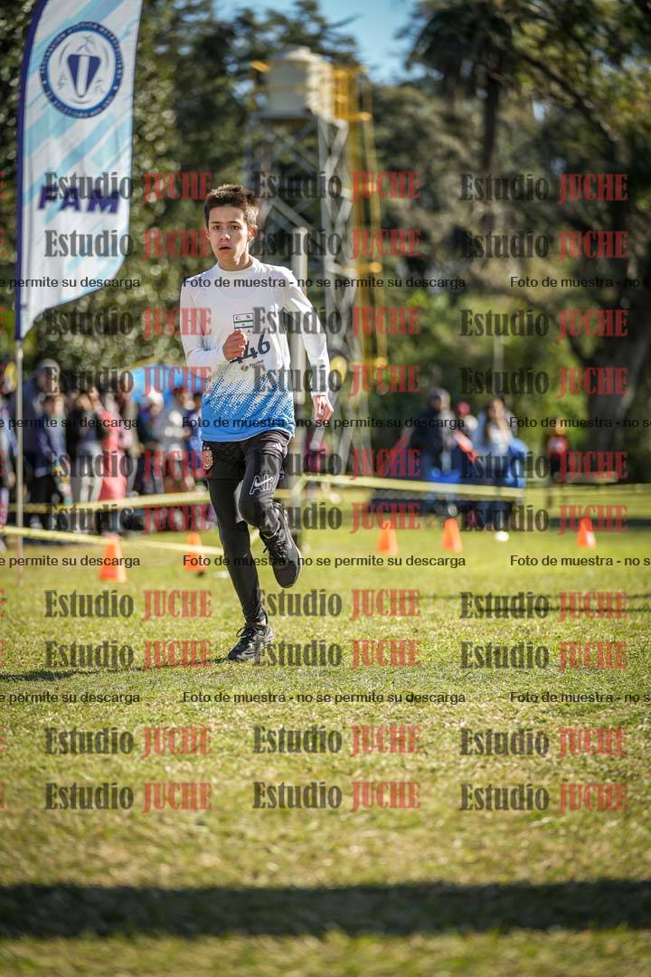 Fotos de la llegada del cross de 2000 m