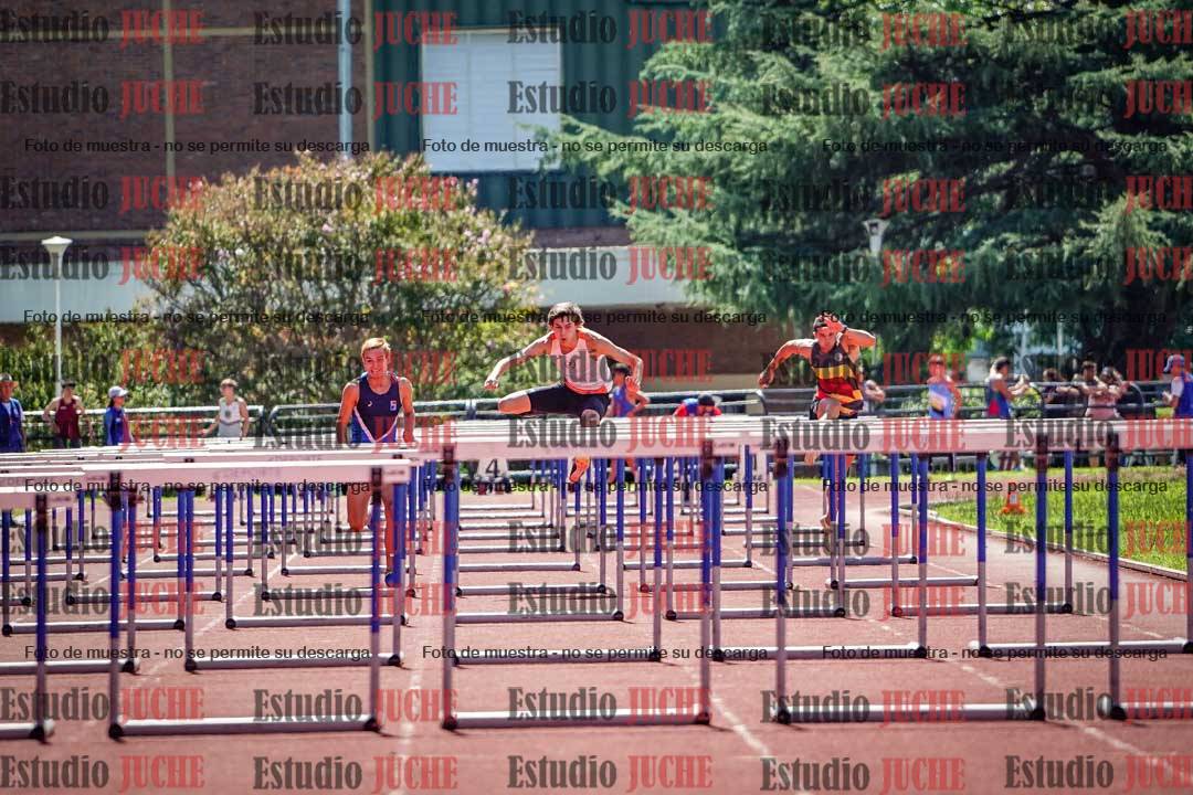 Fotos de los 110 m con vallas de varones
