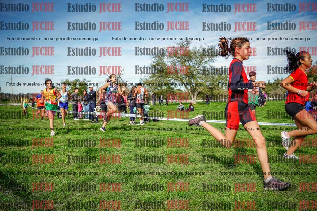 Fotos en el circuito