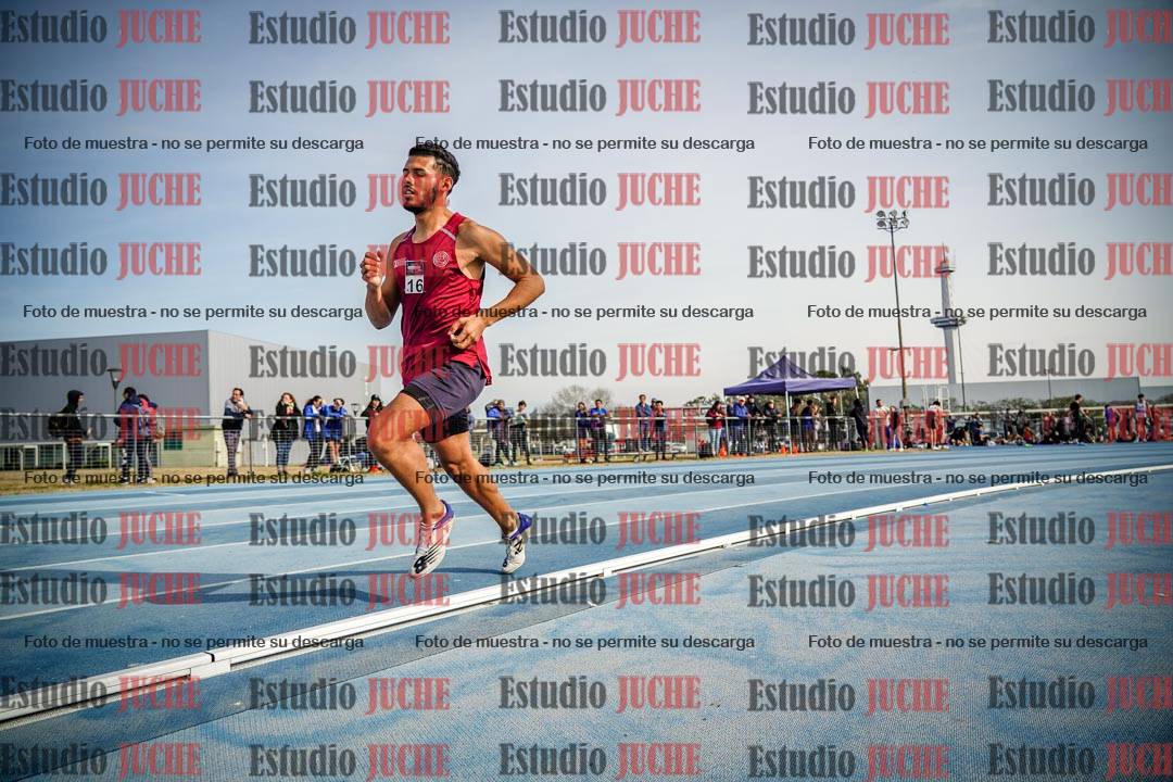 Fotos de los 800 m llanos de varones