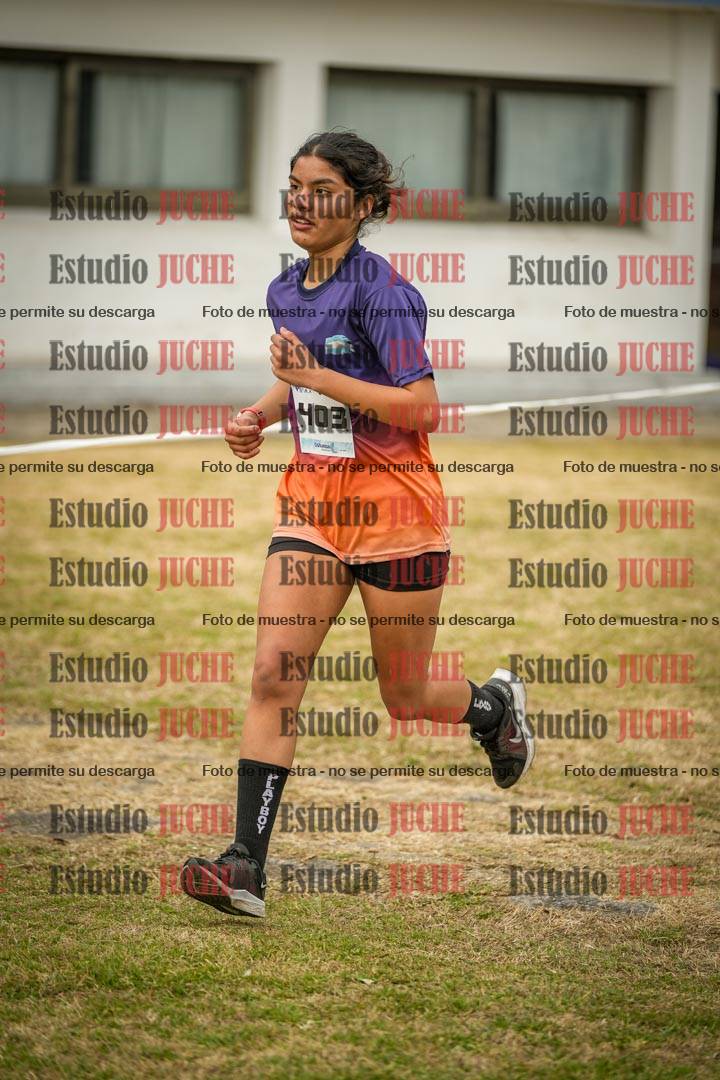 Fotos en el circuito