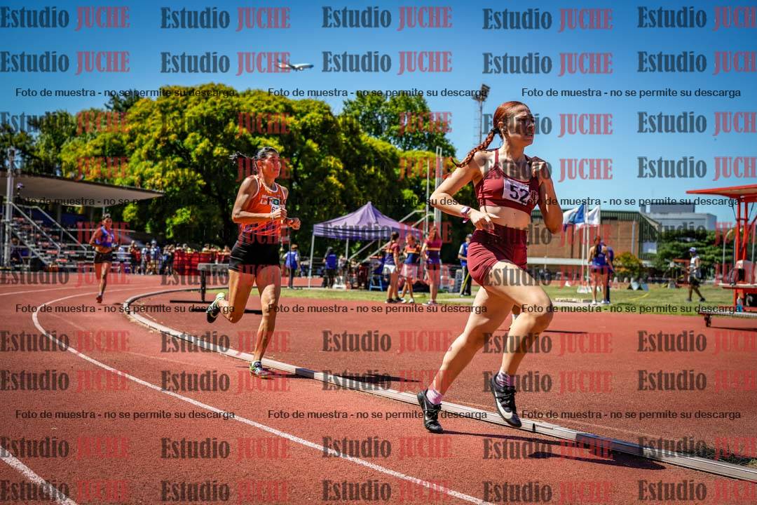 Fotos de los 800 m llanos de mujeres