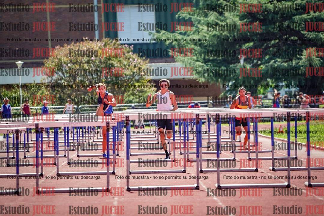 Fotos de los 110 m con vallas de varones