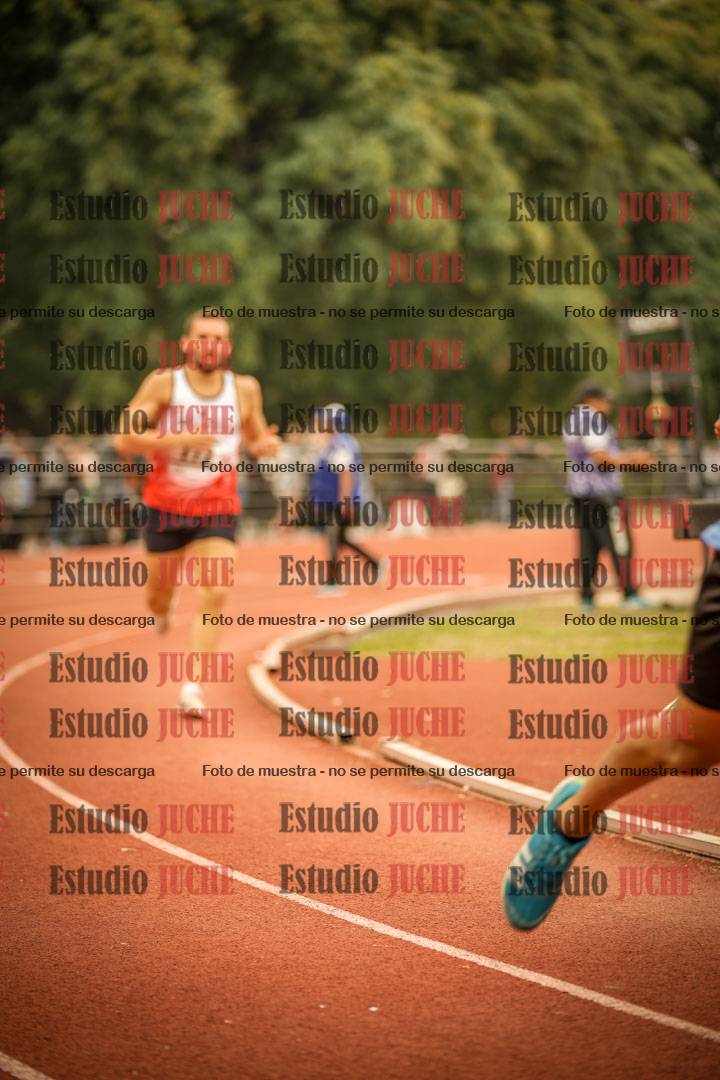 Fotos de los 800 m llanos de varones