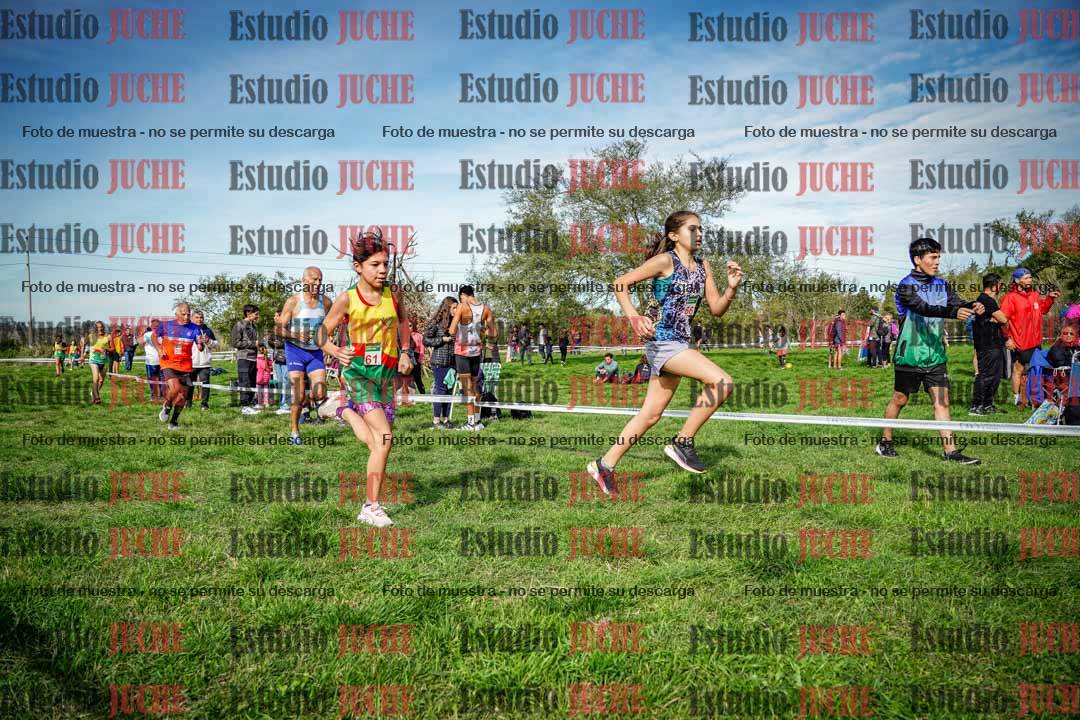Fotos en el circuito