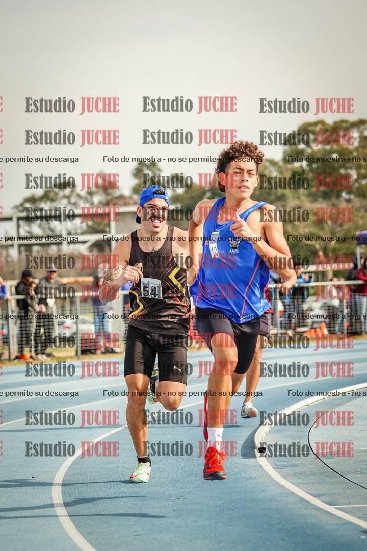 Fotos de los 800 m llanos de varones