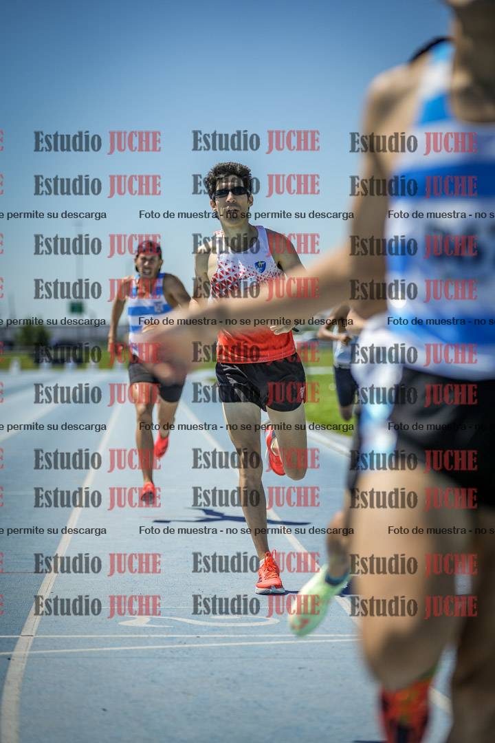 Fotos de los 800 m llanos de varones
