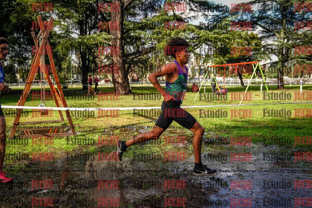 Fotos en el circuito