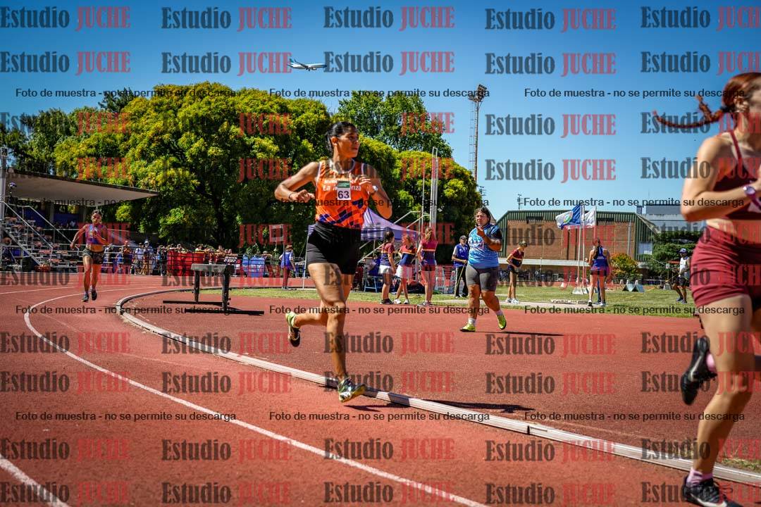 Fotos de los 800 m llanos de mujeres