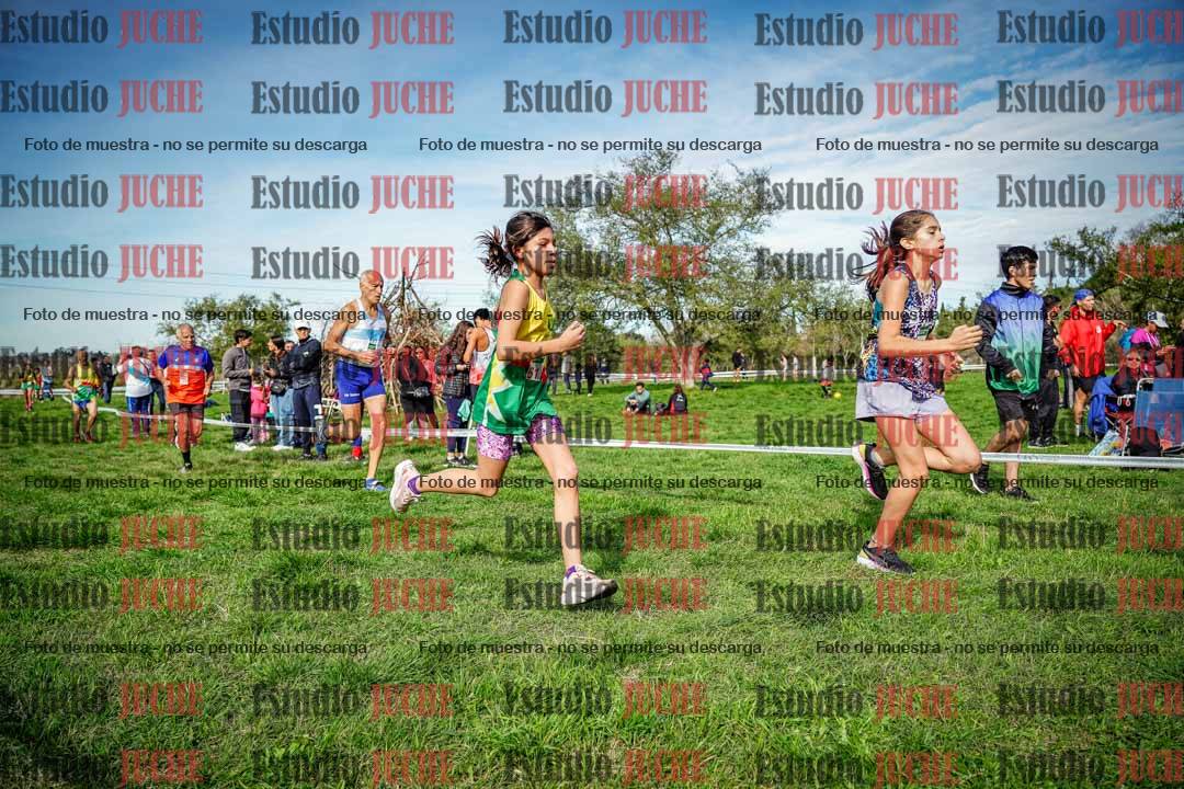 Fotos en el circuito