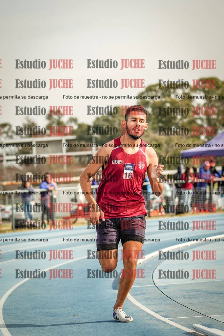 Fotos de los 800 m llanos de varones