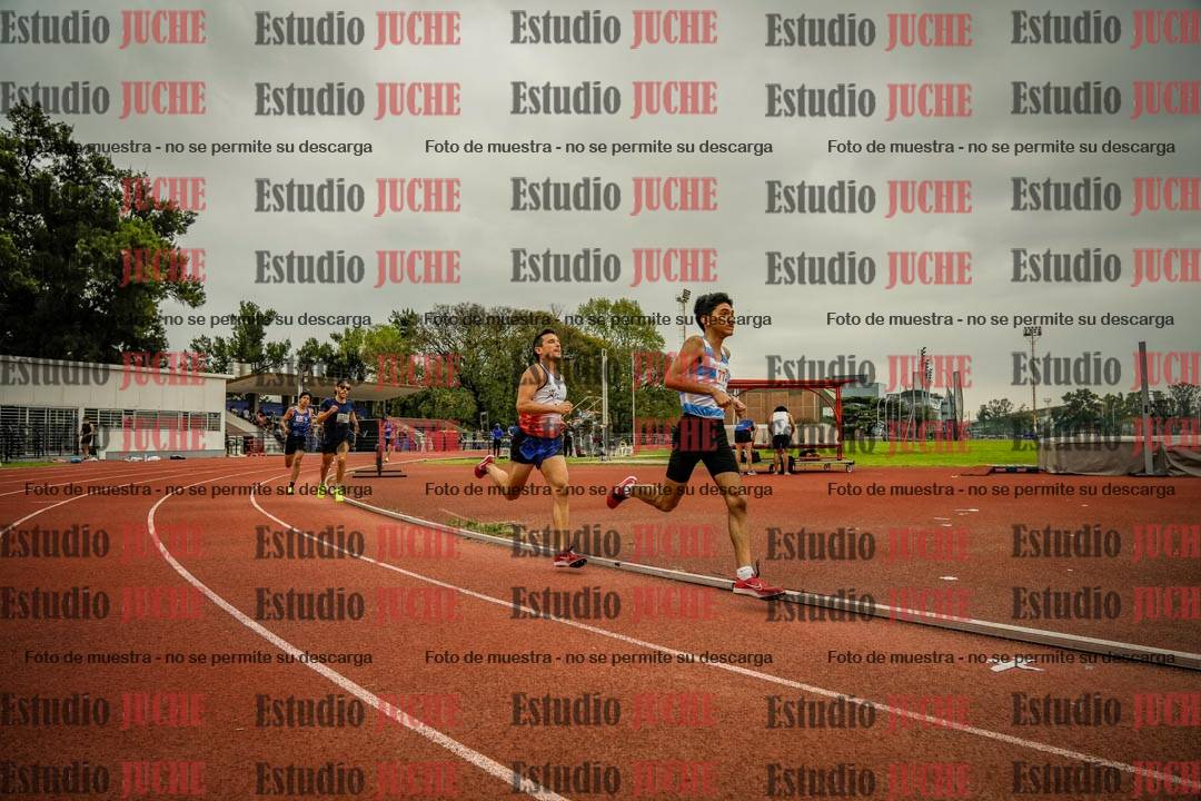 Fotos de los 800 m llanos de varones