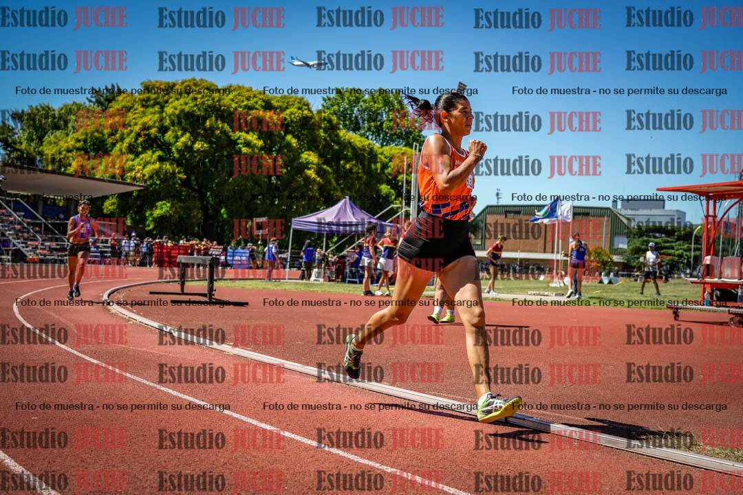 Fotos de los 800 m llanos de mujeres