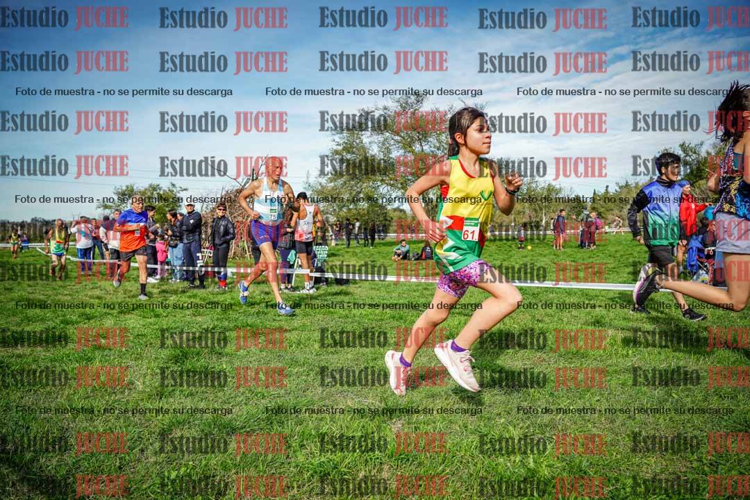 Fotos en el circuito